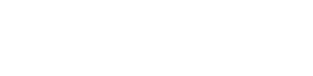 aputure 300x bi-color india