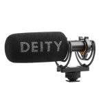 V-Mic_D3_deity_india_tiyana