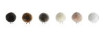 bubblebee windbubble india tiyana 2
