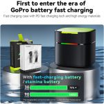 TELESIN-2-Channel-Fast-Charger-Box-for-GoPro-HERO91011-Batteries-India-Tiyana