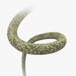 PGYTECH-Camera-Shoulder-Strap-Air-Grass-Green-India-Tiyana